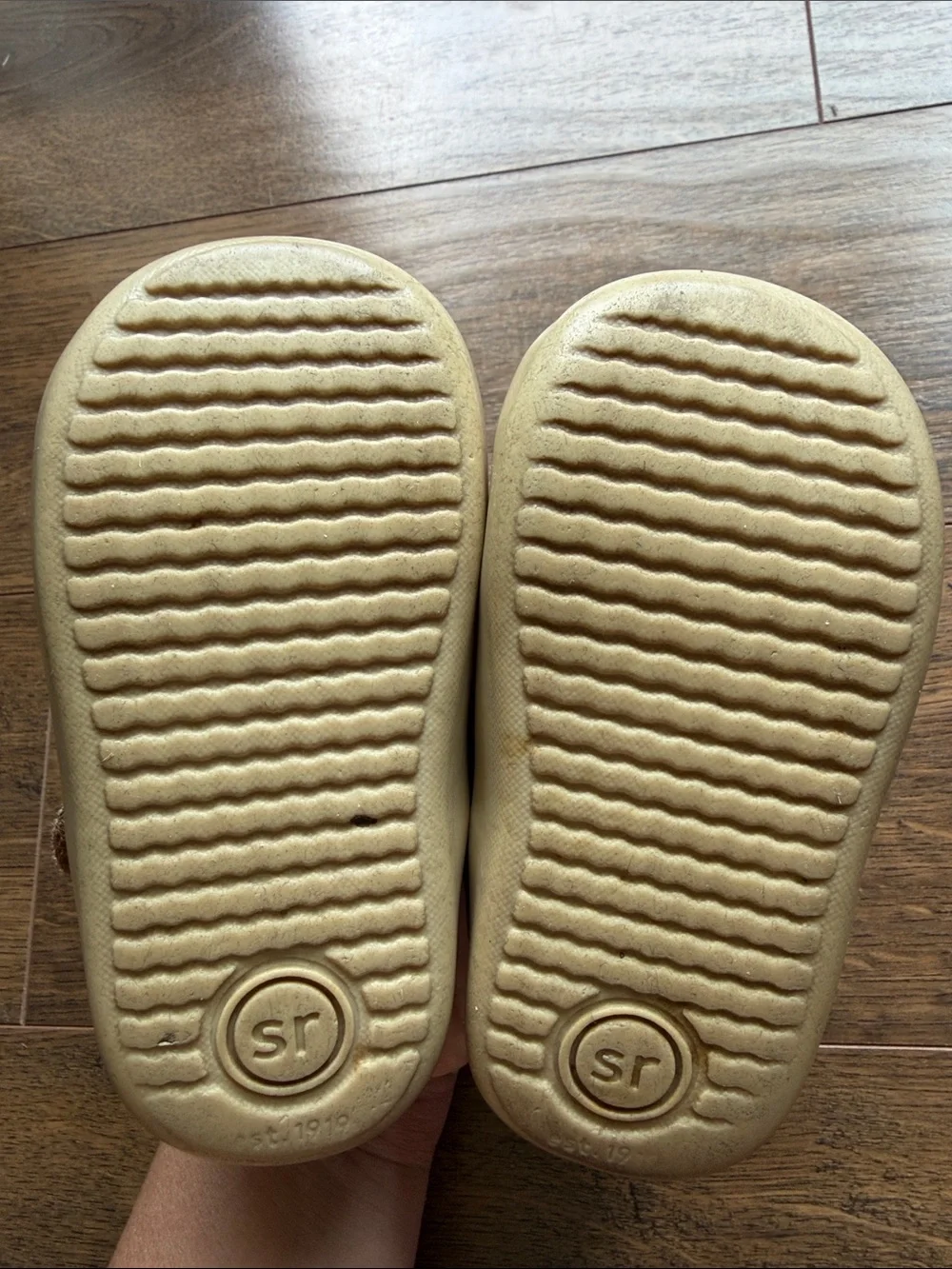 Stride Rite Brown Cheyenne Mary Jane